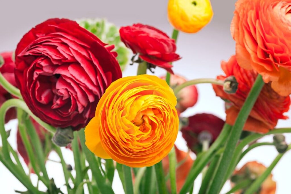 huntleys point florist