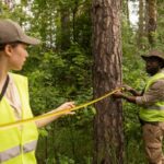 Tree Removal in Epping What Permits Do You Need Before Cutting